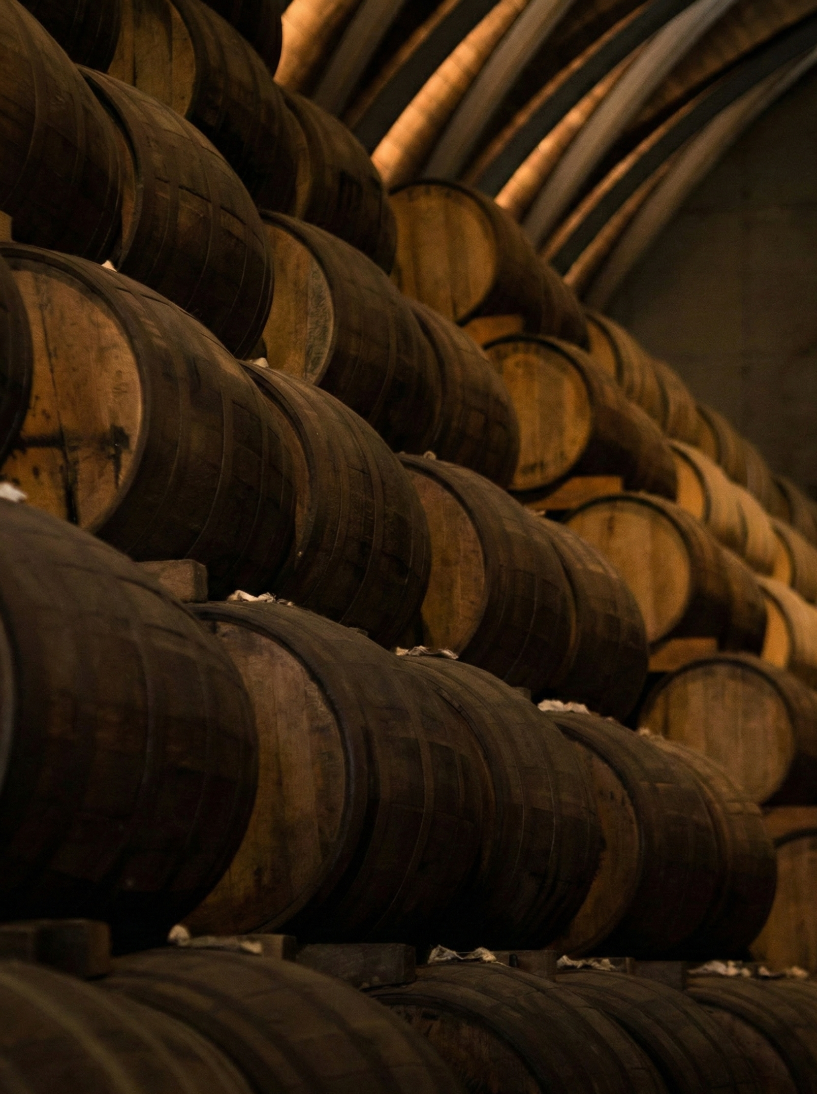 Stacks of wooden barrels in a storage cellar
